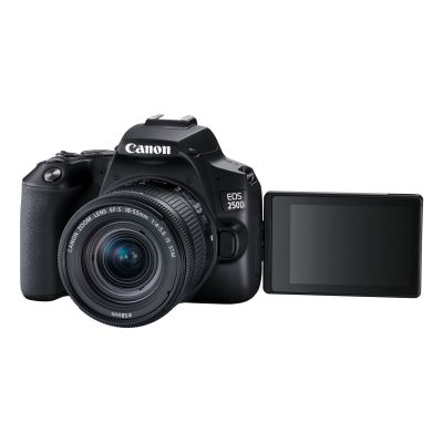 5. Canon EOS 250D camera (3454C002)
