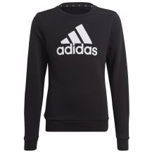 Sweatshirt adidas Big Logo Swt Jr IC6117