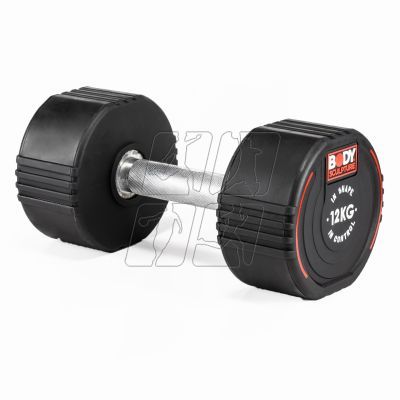 10. Dumbbell Body Sculpture TPU BW 133 12 KG