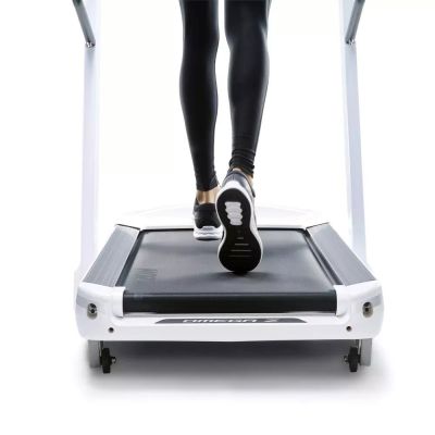 3. HORIZON FITNESS Omega Z-02 Electric Treadmill