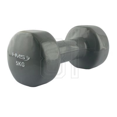 17. Cast iron weight covered with vinyl HMS 5.0 KG 17023