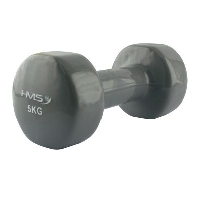 17. Vinyl-coated cast iron weight HMS 5.0 KG 17023 