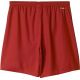 2. Adidas PARMA 16 SHORT M AJ5881 football shorts