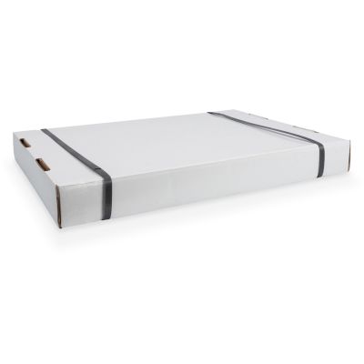 5. Digitus SOHO Wall Cabinet, Unassembled – 540 x 400 mm (W x D)