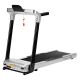 13. Electric treadmill HMS BE8501i 17-19-029