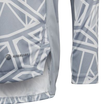 8. adidas Condivo 22 Long Sleeve Kids' Goalkeeper Jersey Gray HB1646