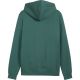 3. Men’s Puma ESS 2 Color Small No.1 Logo Hoodie green 684718 90
