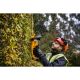 6. Dewalt DCMHT563N-XJ Cordless Shears
