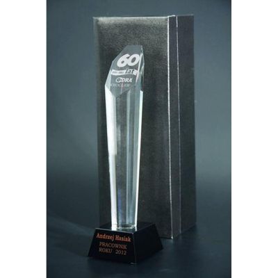 Engraved glass trophy with case + paint filling