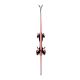 7. Rossignol Nova 10 Women’s Skis + LOOK Xpress W 11 Gw B83 Tonic Sunset Bindings