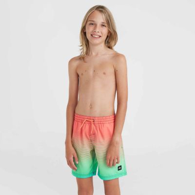 3. O'Neill Jack Cali Gradient 14'' Swim Shorts Jr 92800613570