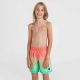 3. O&#39;Neill Jack Cali Gradient 14&#39;&#39; Swim Shorts Jr 92800613570