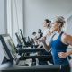 19. Freemotion Reflex™ t22.9 FMTL70920K2 Electric Treadmill
