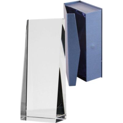 2. Glass trophy with case