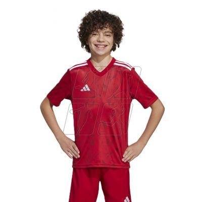 adidas Team Icon 25 Jr T-shirt JM8362