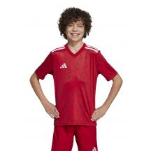 adidas Team Icon 25 Jr T-shirt JM8362