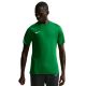 9. Men's Nike Dri-Fit Park VIII T-shirt green HV8173 302
