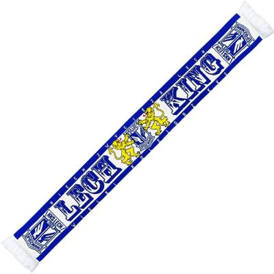 Lions Scarf