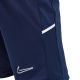 13. Nike Dri Fit Academy 25 Jr Shorts FZ9784 410