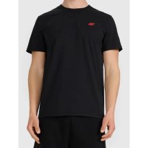 Regular men's T-shirt 4F 4FWMM00TTSHM3341-020S