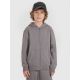 Boy's zip-up hoodie sweatshirt 4F 4FJRAW25TSWSM2488-22S