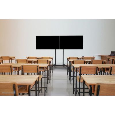 11. Neomounts dual screen TV mount ADM-875BL2