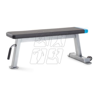 15. Proform Carbon Strength PFBE09620 horizontal bench