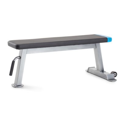 15. Proform Carbon Strength PFBE09620 Recumbent Bench