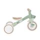 12. Tricycle/balance bike LEARNING TRIKE 3in1 PLUS ECOLOGIC (738-109)