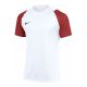 Nike Dri-FIT Academy II T-Shirt HV8160-102