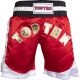 TOP TEN kick light shorts (WAKO APPROVED)