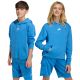 adidas Essentials Hoodie for kids blue KD3382
