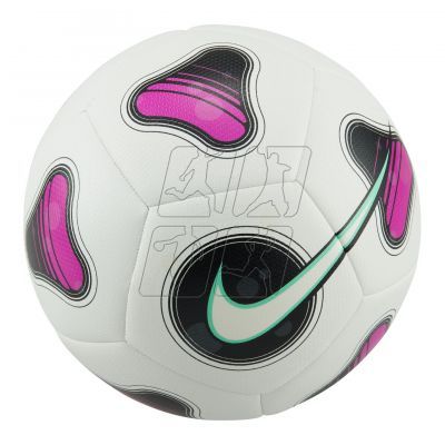 2. Nike Futsal Pro FJ5549-100 ball