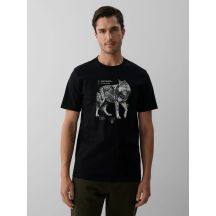 Men's regular printed T-shirt 4F 4FKAW26TTSHM4500-20S
