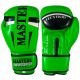 17. MASTERS RPU-FT 011123-0210 Boxing Gloves