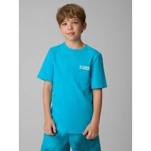 Boy's regular printed T-shirt 4F 4FJRSS26TTSHM3832-33S