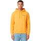 Champion Hooded Sweatshirt Yellow 221791 YS164