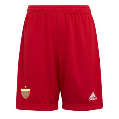 7. adidas Entrada 22 Jr H57501 Shorts