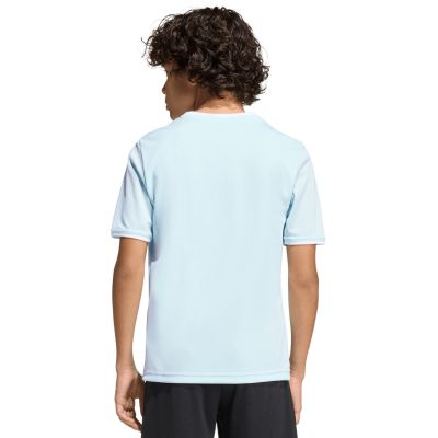 13. adidas Entrada 26 Jersey kids' t-shirt blue KE9844