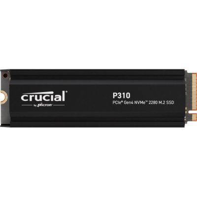 2. PCIE G4 M.2 NVME 1TB SSD with HS/P310 CT1000P310SSD5 CRUCIAL
