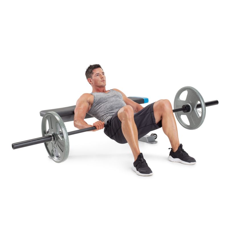 23. Proform Carbon Strength PFBE09620 Recumbent Bench