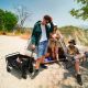 14. Wozinsky WZP-80 beach, tourist, garden, durable, wide wheels, up to 80 kg - black