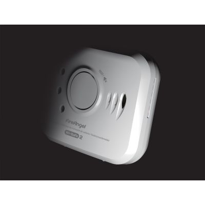 3. Carbon Monoxide Sensor NM-CO-10X-INT