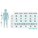 3. Thermoactive underwear Meteor Jr 140-146 cm 47132