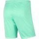 5. Nike Dry Park III NB KM BV6855 354 Shorts