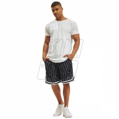 10. Karl Kani Small Signature Pinstripe Mesh Short M 6014920