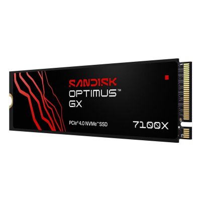 2. SanDisk Optimus GX7100X 1TB SSD SDSG71200TAN