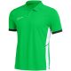 3. Nike Dri-Fit Academy 25 SS Polo Shirt M FZ9759 329