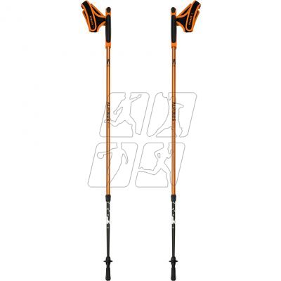 2. Nordic walking poles Alpinus Kungsleden NX43603