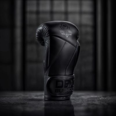 13. 10oz Boxing Gloves - Hammer Black - Valor Series